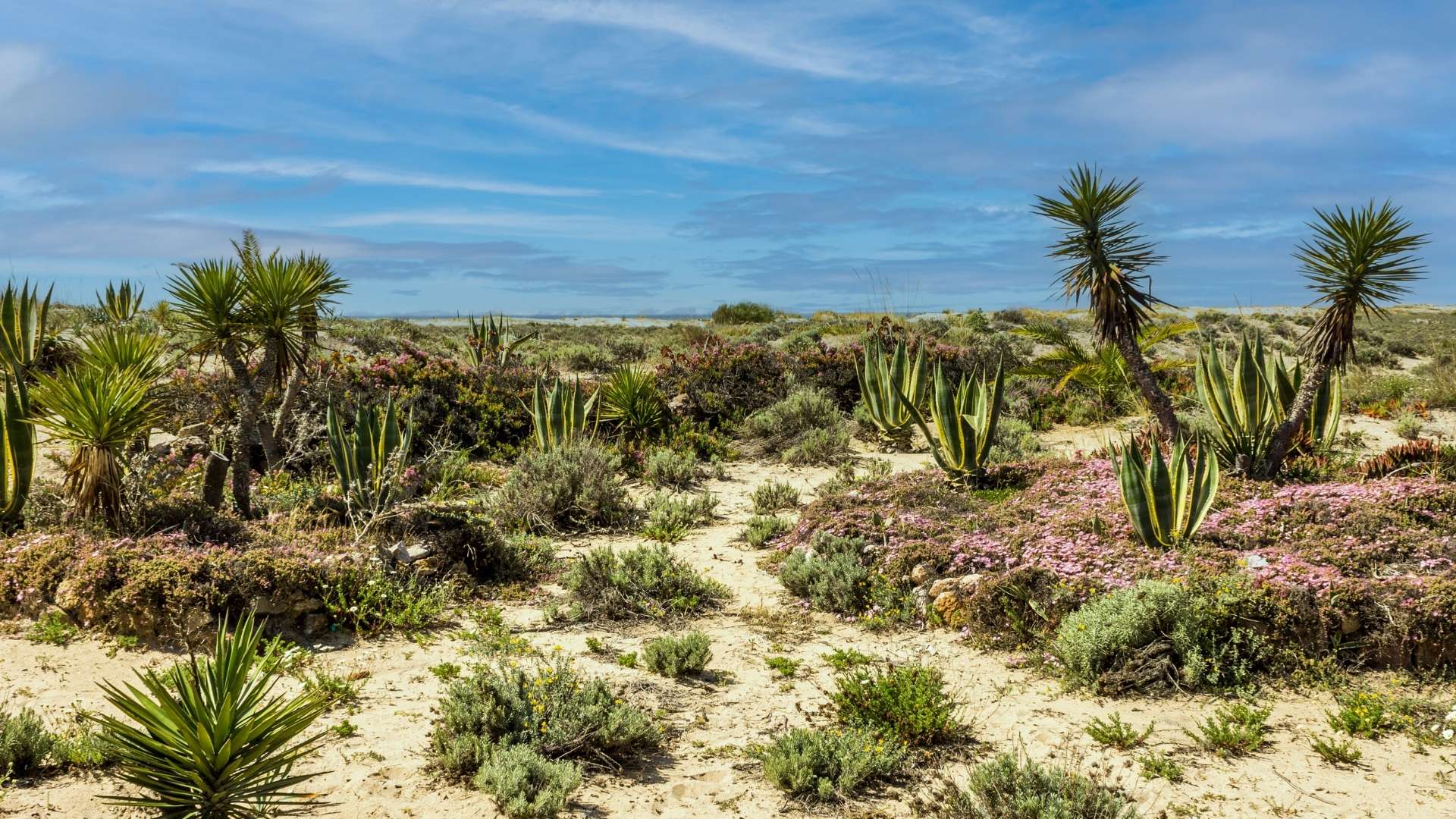 Ria Formosa Islands