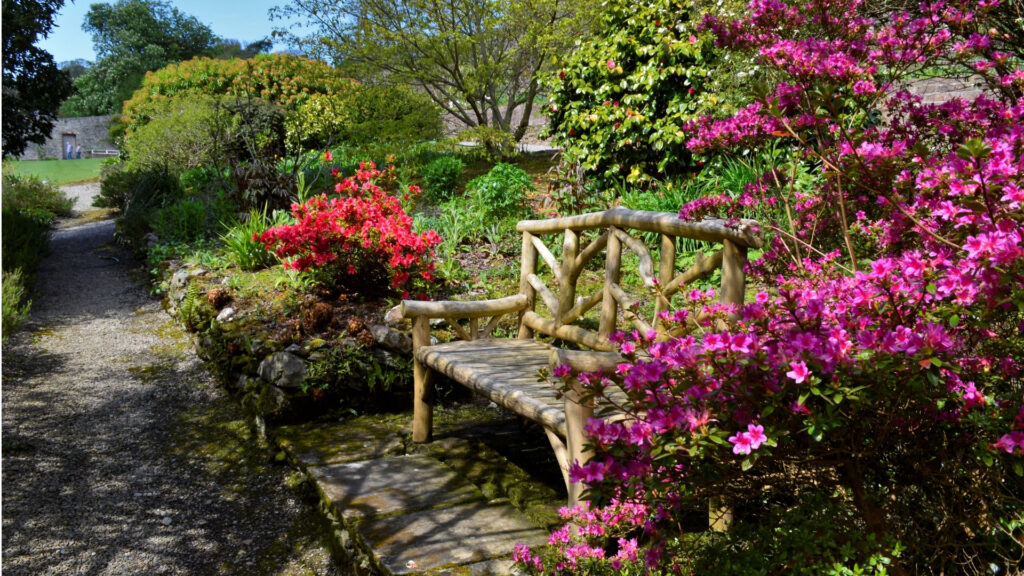 Mrs Fanning Evans' Secret Garden at Plas Cadnant