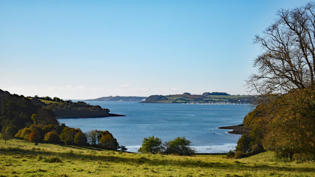 View from Trelissick