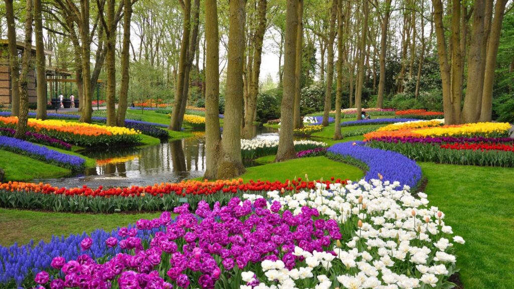 Keukenhof