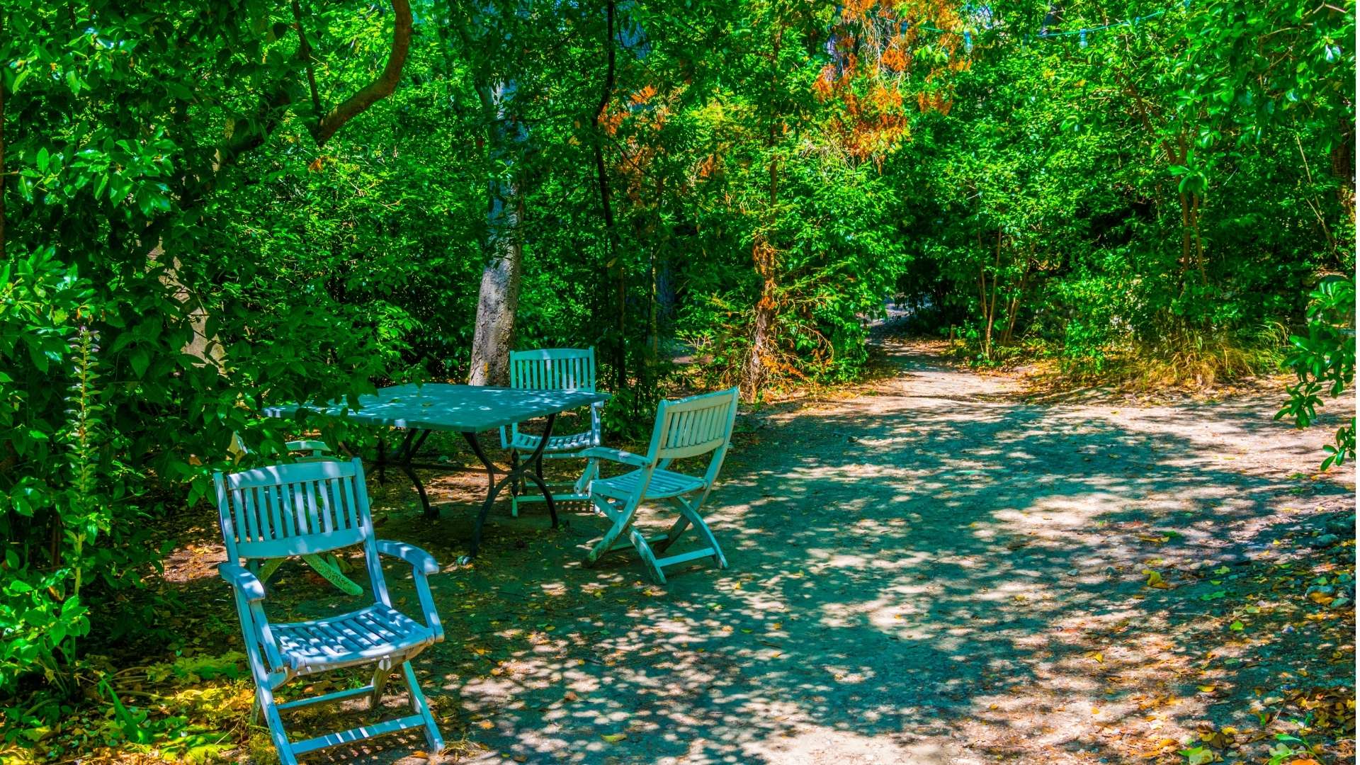 Garden of studio of Paul Cezanne in Aix-en-Provence