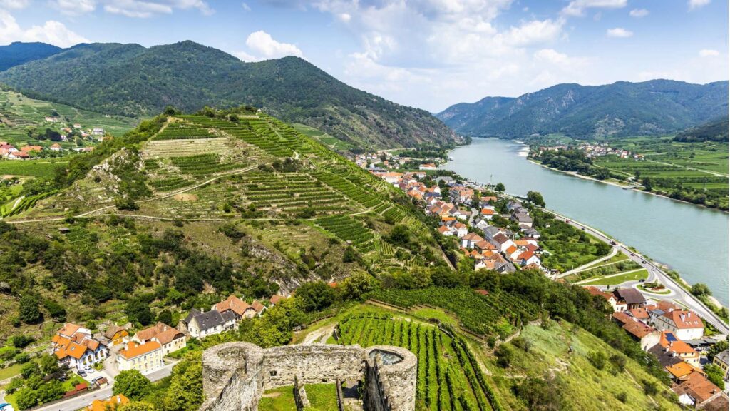 Spitz, Danube, Vineyard