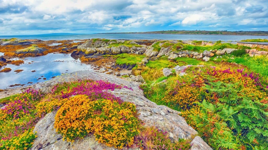 The Burren
